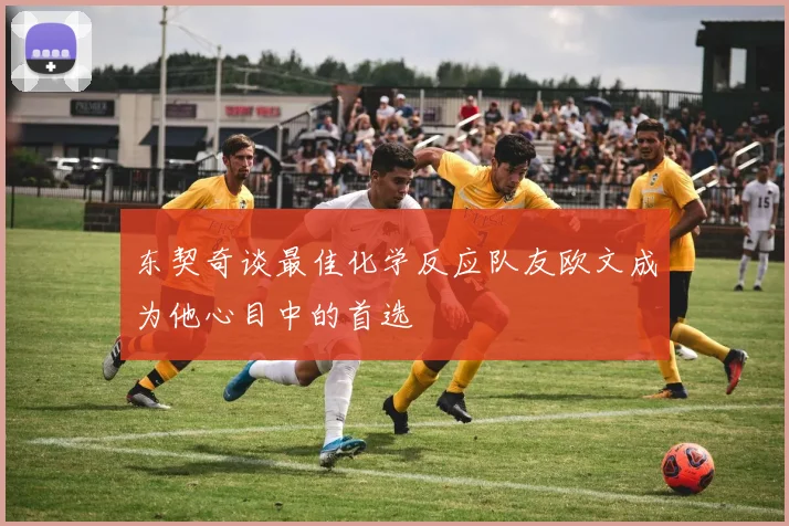 东契奇谈最佳化学反应队友欧文成为他心目中的首选