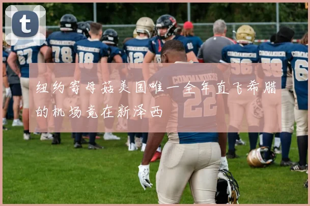 纽约寄母菇美国唯一全年直飞希腊的机场竟在新泽西