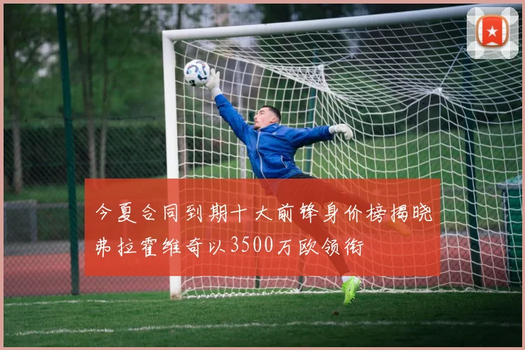 今夏合同到期十大前锋身价榜揭晓弗拉霍维奇以3500万欧领衔